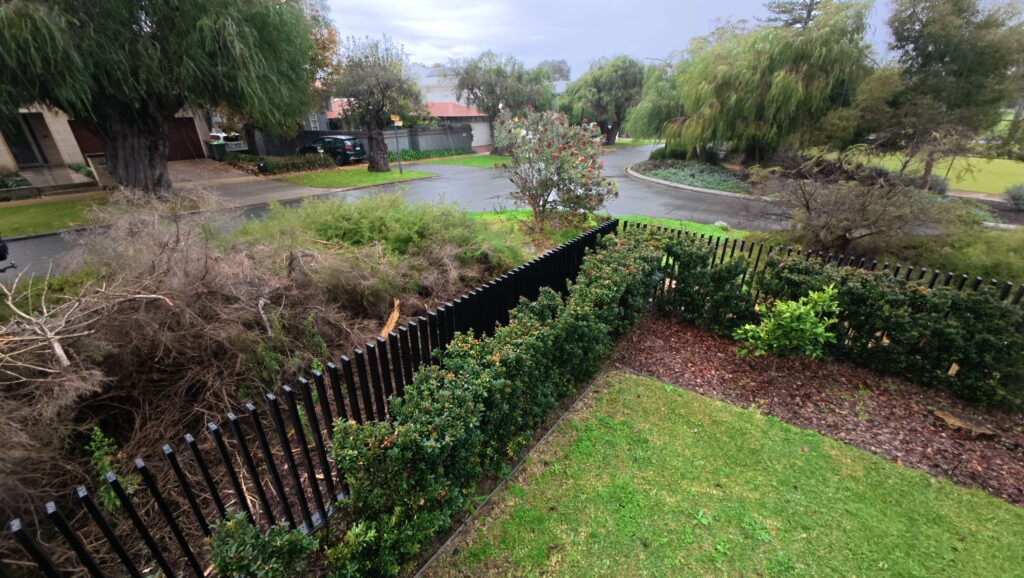 Precision-engineered steel batten gate in Night Sky finish, FencrGatr® Swanbourne project, pet-safe design.